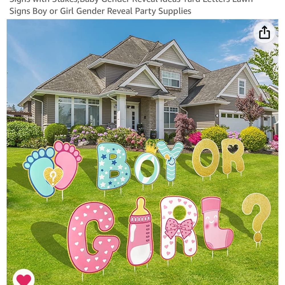 Gender Reveal Decorations - Teddy Bear Theme